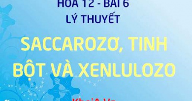 Saccarozơ, Tinh bột, Xenlulozơ Cấu tạo phân tử, tính chất hóa học của Saccarozơ, Xenlulozơ - Hóa 12 bài 6